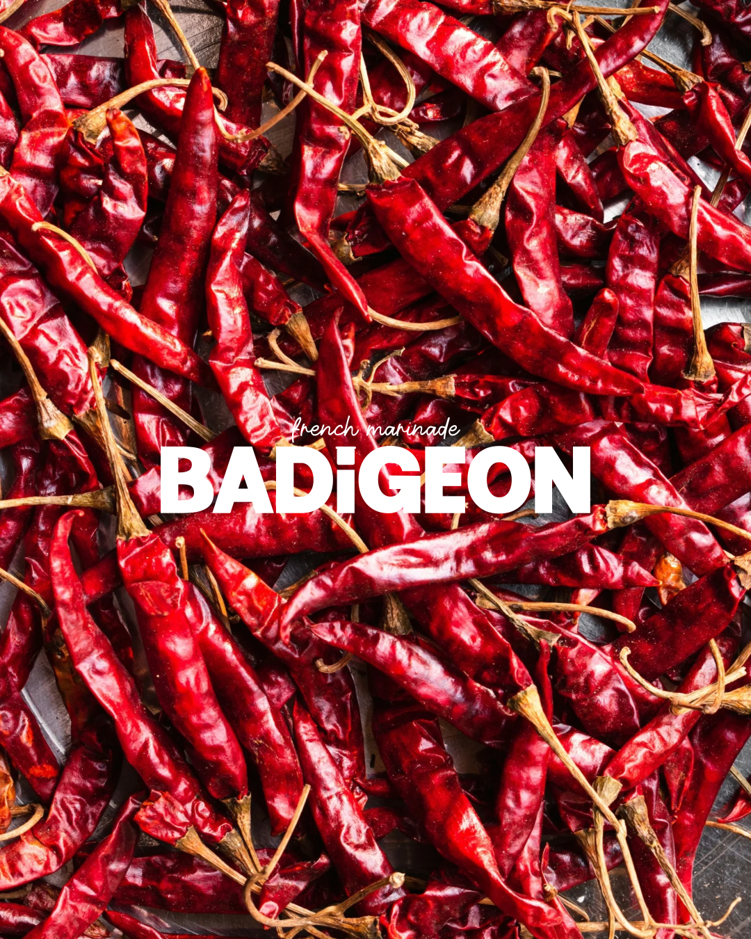 Harissa, Persil & Coriandre